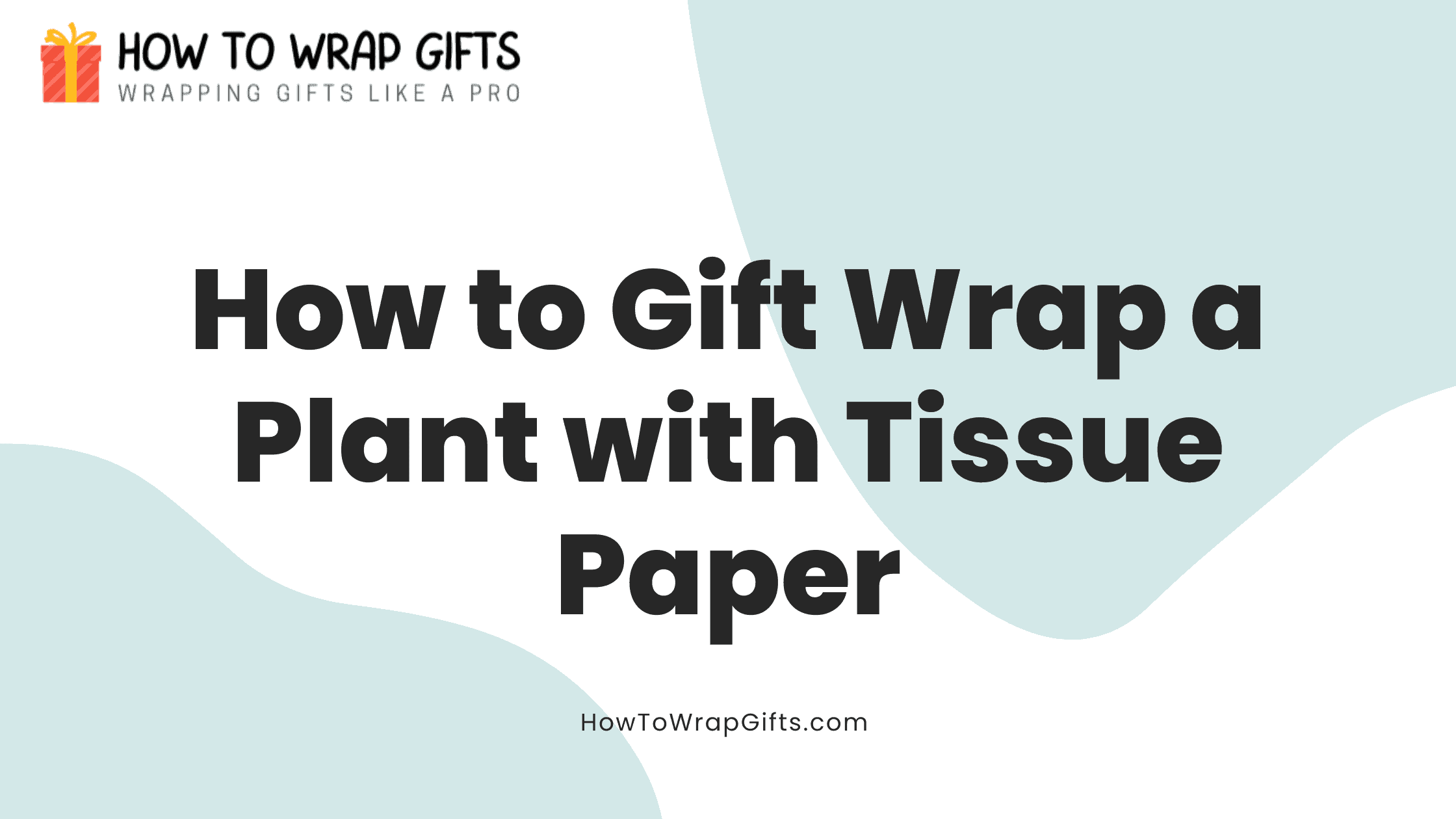 How to Gift Wrap a Plant with Tissue Paper